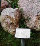 Findlinge in Gesteinsgarten Ortkrug bei Alt Schwerin